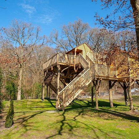 Oakside Tree Tops Canterbury Luaran gambar