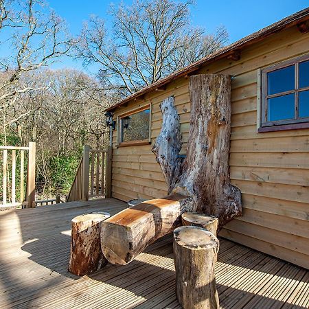Oakside Tree Tops Canterbury Bilik gambar