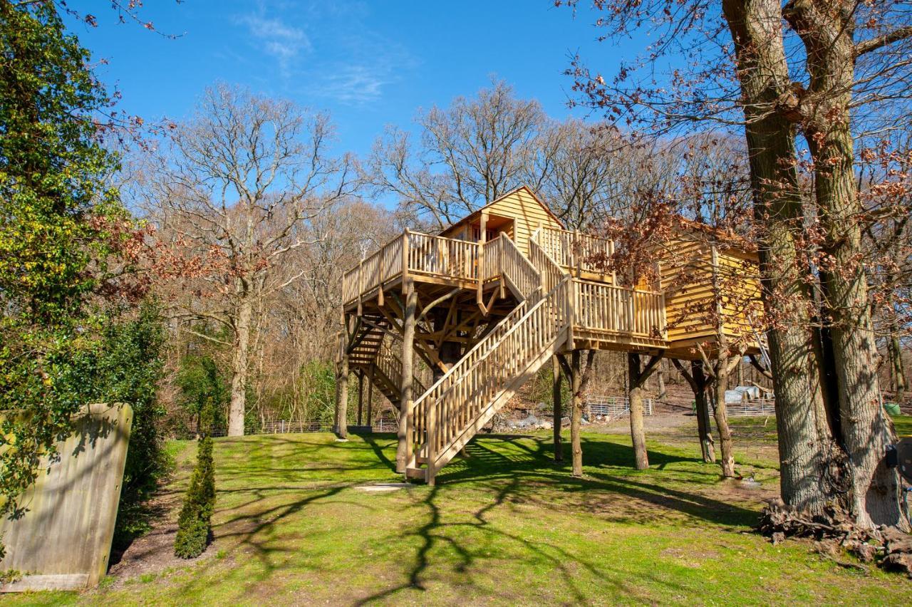 Oakside Tree Tops Canterbury Luaran gambar