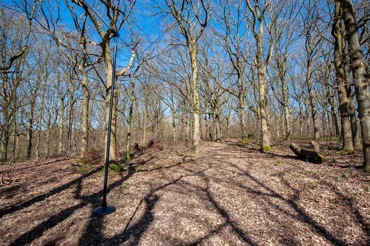 Oakside Tree Tops Canterbury Luaran gambar