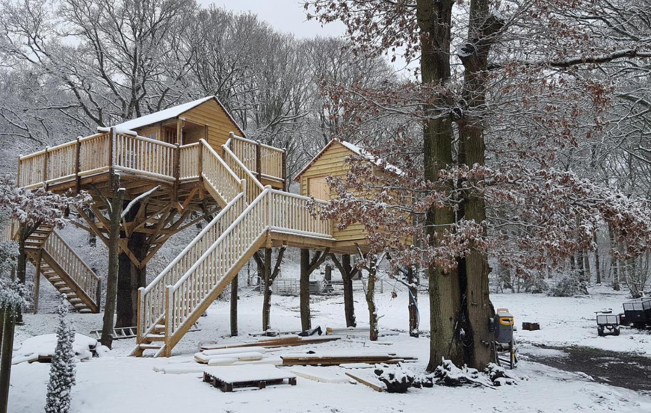 Oakside Tree Tops Canterbury Luaran gambar